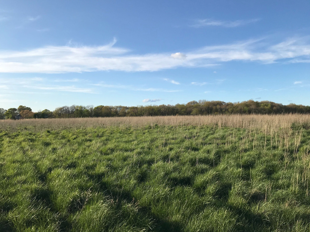 Passanageset Park-昆西必去景点