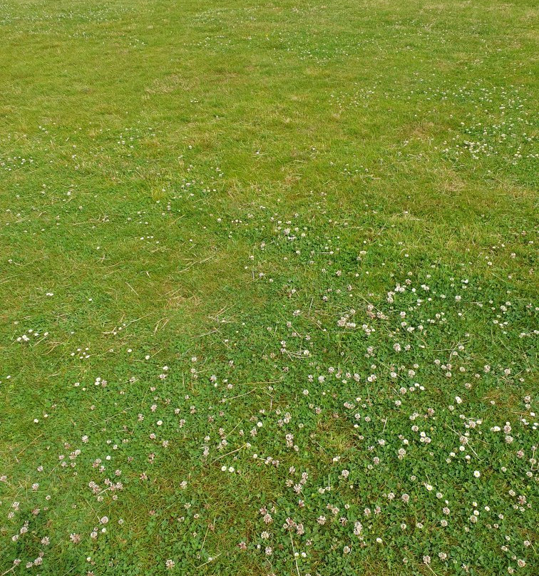 Rowallan Golf Course景点图片