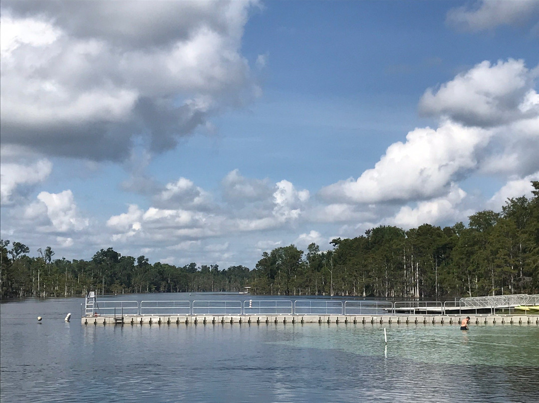 Blue Springs Recreation Area-Marianna必去景点