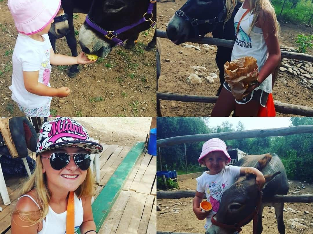 Thassos Donkeys-Skála Potamiás必去景点