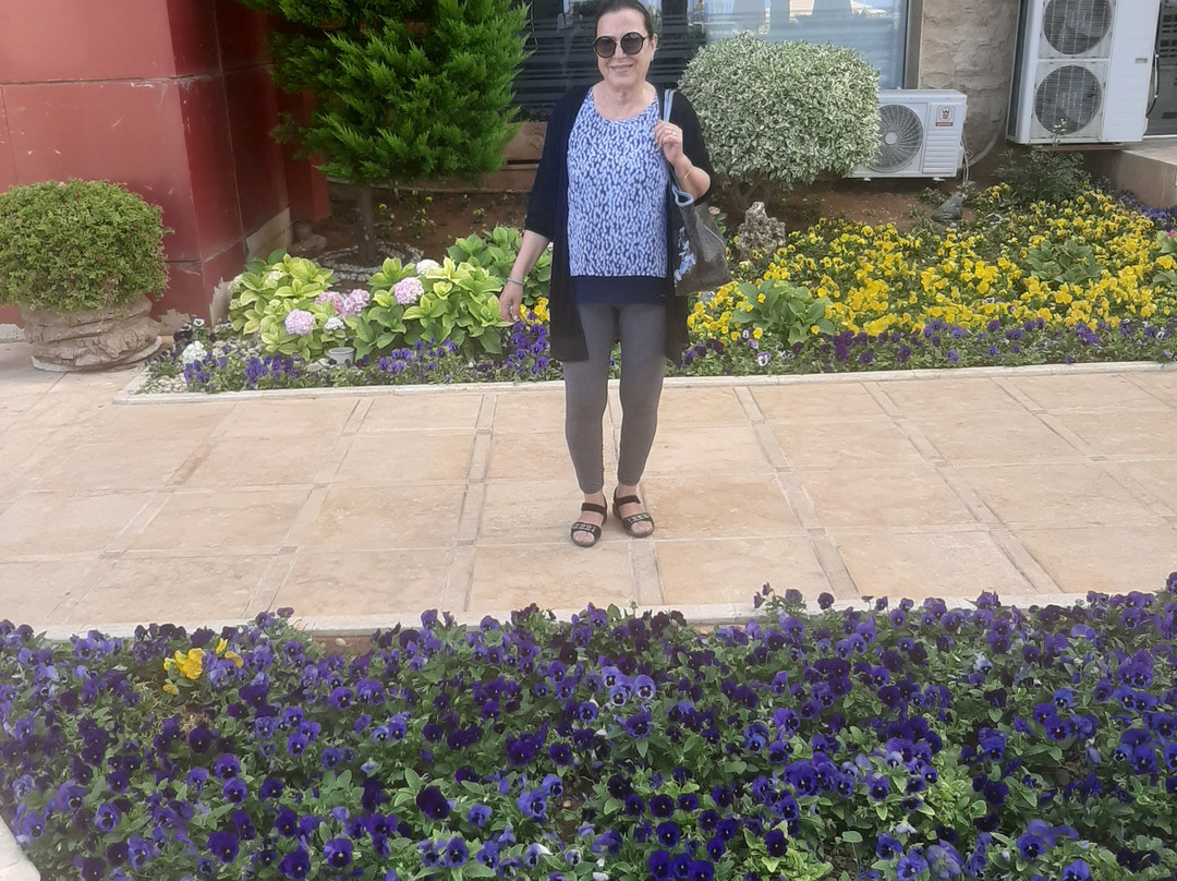 Holiday Beach Hotel主图