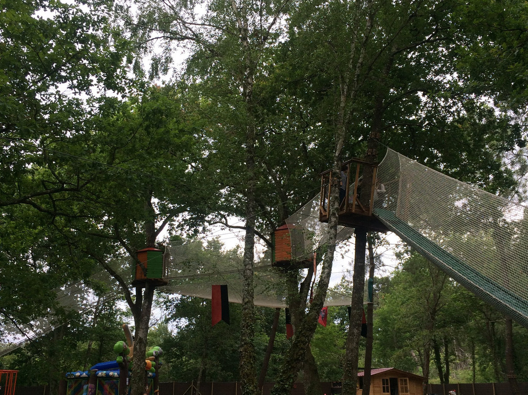 Mystic Woods Park景点图片
