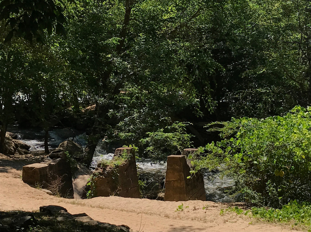 Cedar Falls Park景点图片