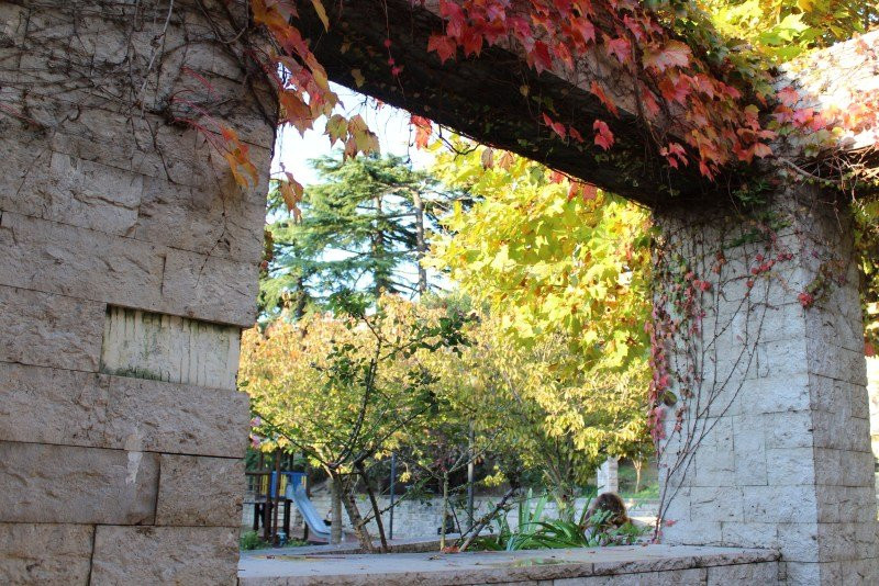 Giardino San Michele景点图片