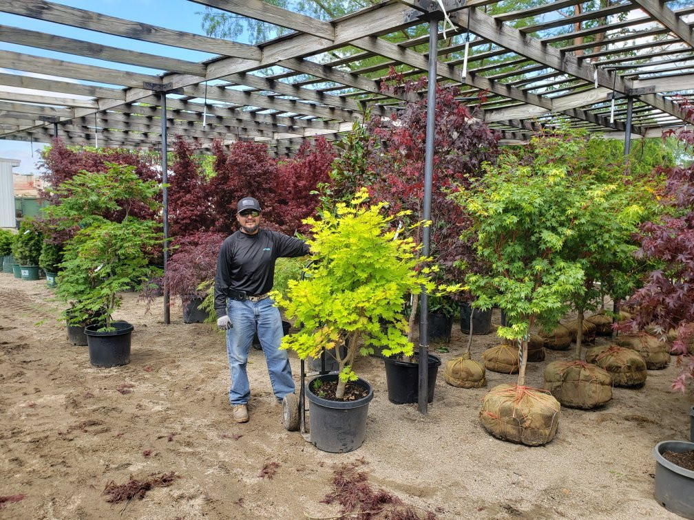 Colonial Gardens-Blue Springs必去景点