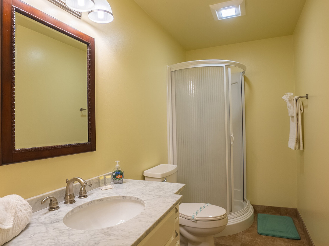 Diamond Willow Inn主图