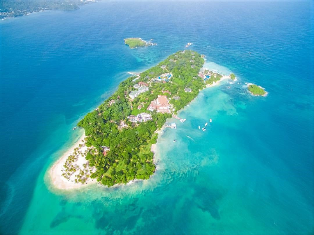 Whale watching samana Tours and excursions景点图片