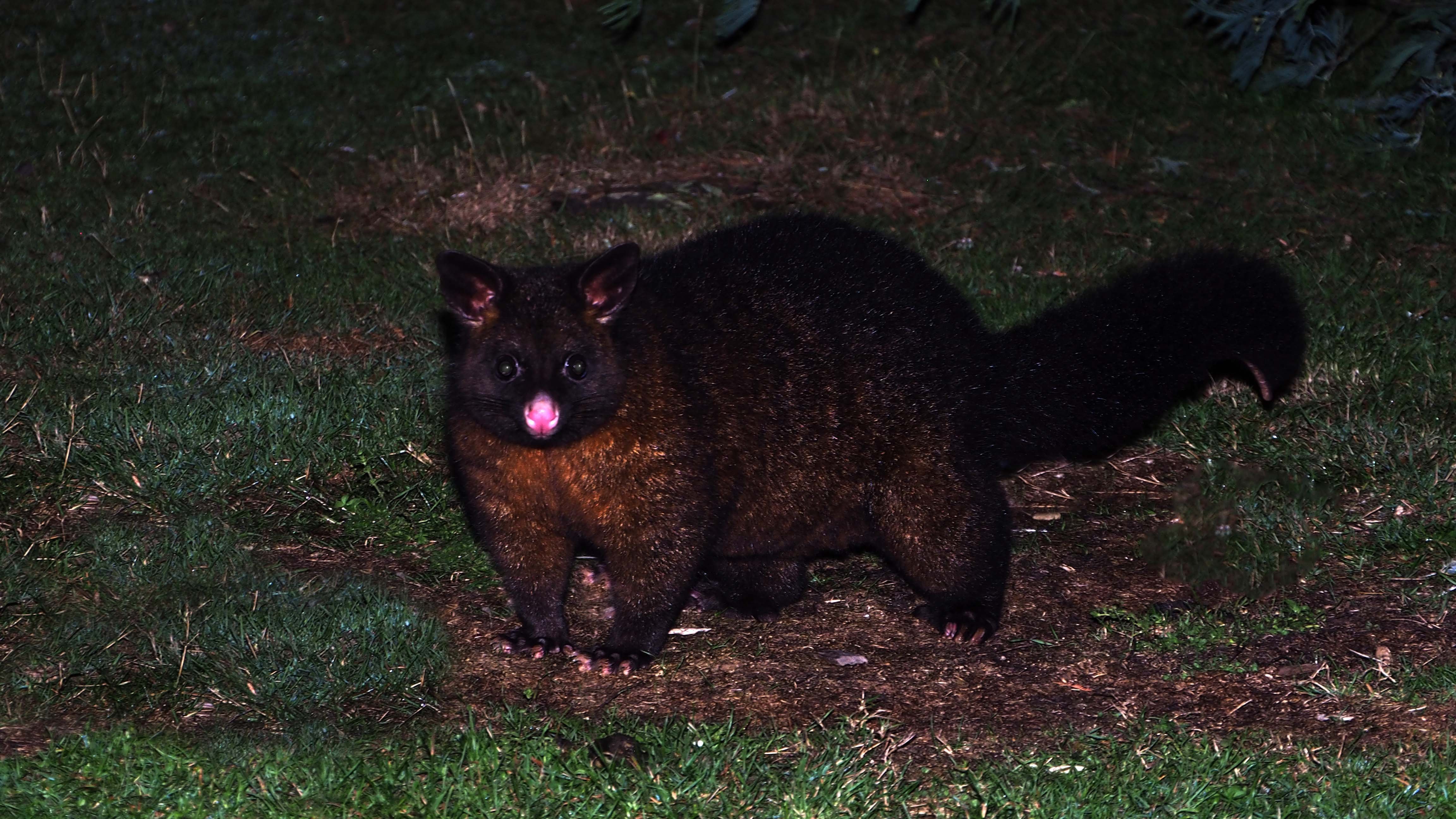 Mountain Valley Wilderness Holidays-酒店景观