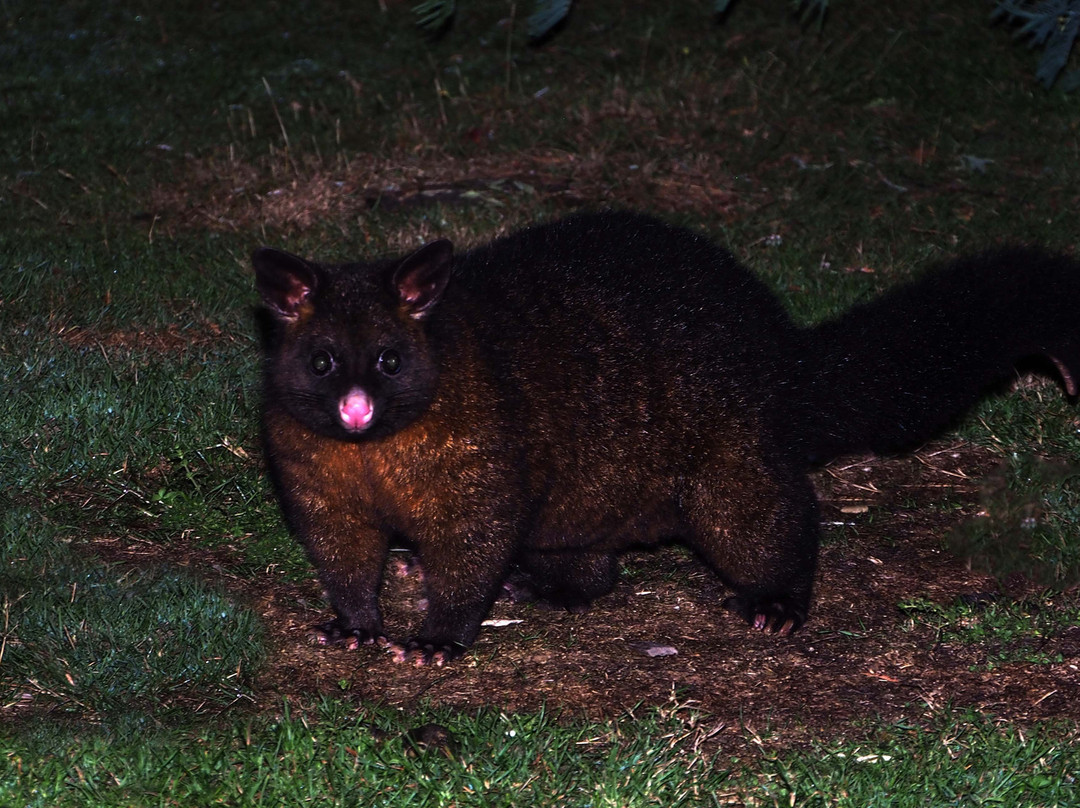 Mountain Valley Wilderness Holidays主图