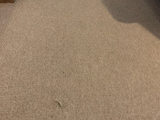 Jim Butler Inn & Suites主图