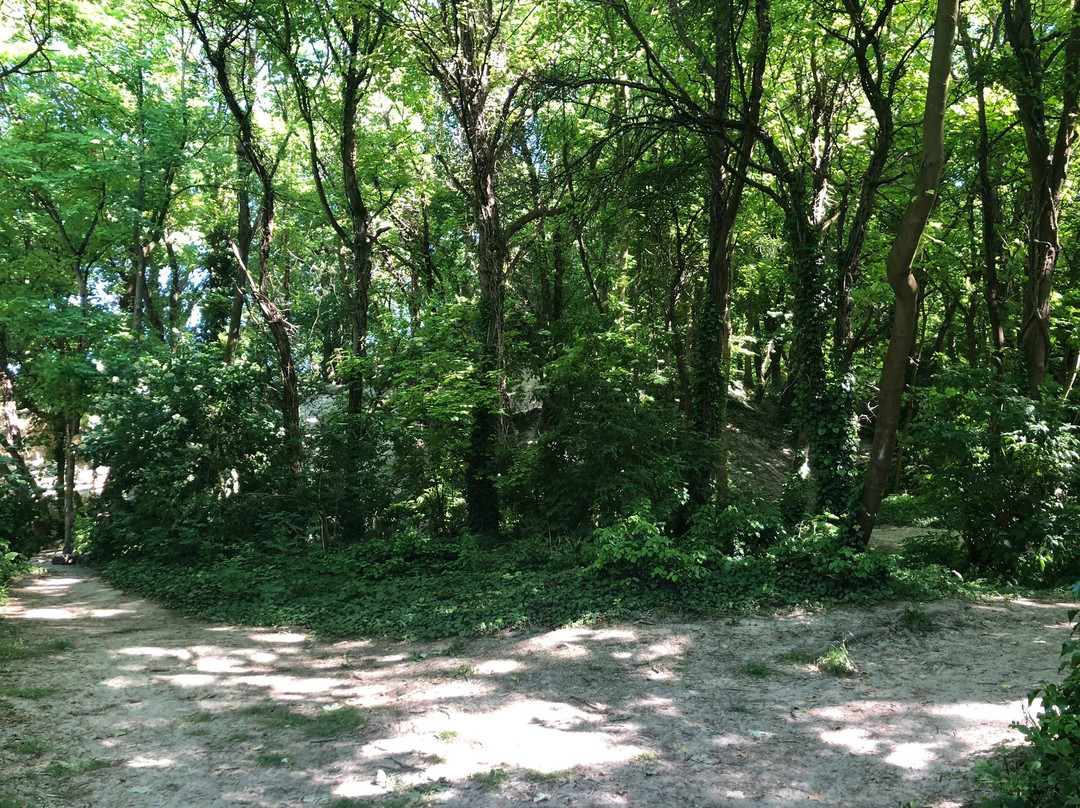 Harlton Clunch Pit and Woods-Harlton必去景点