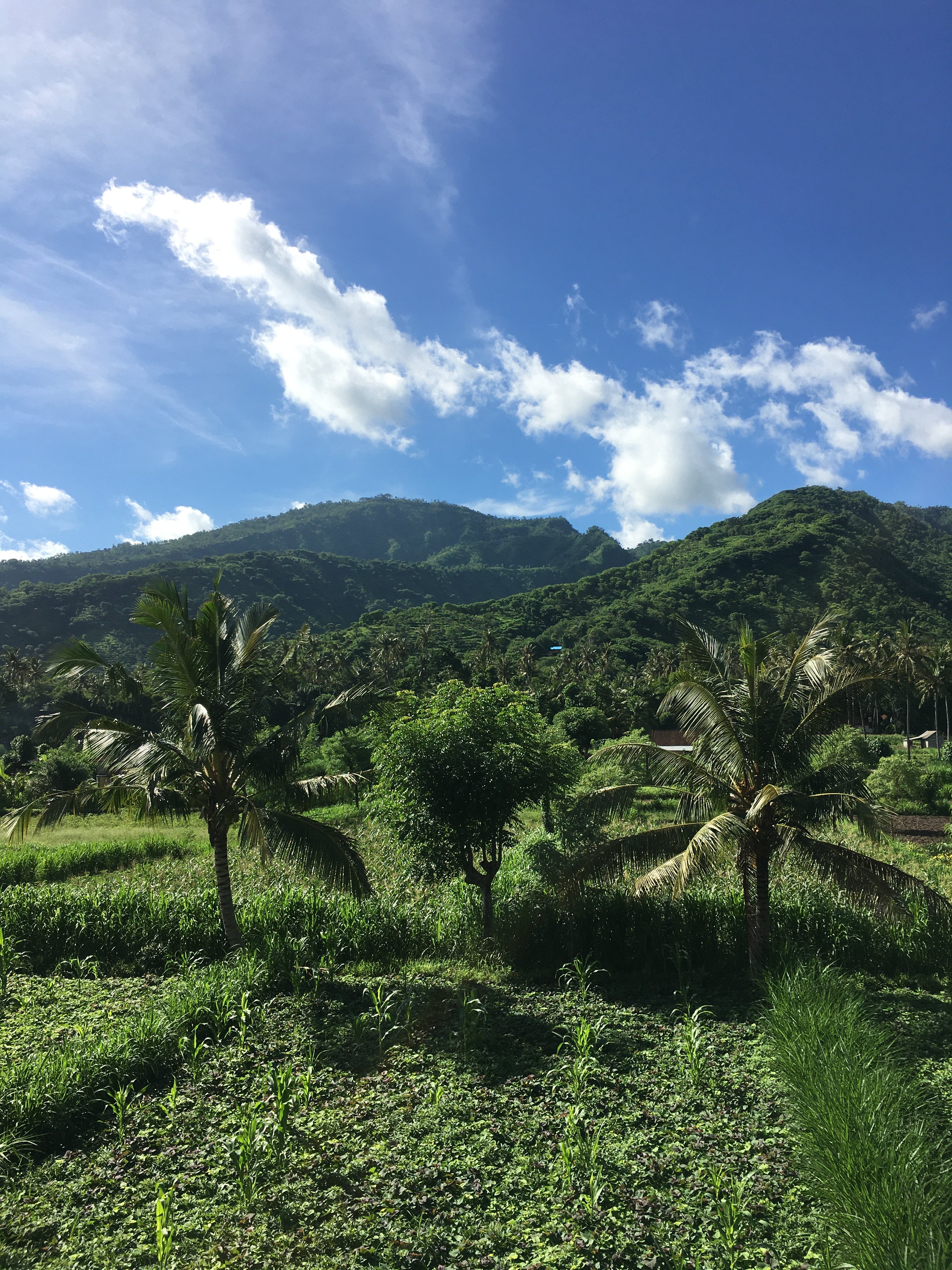 d'Sawah Amed Homestay & Warung-酒店景观