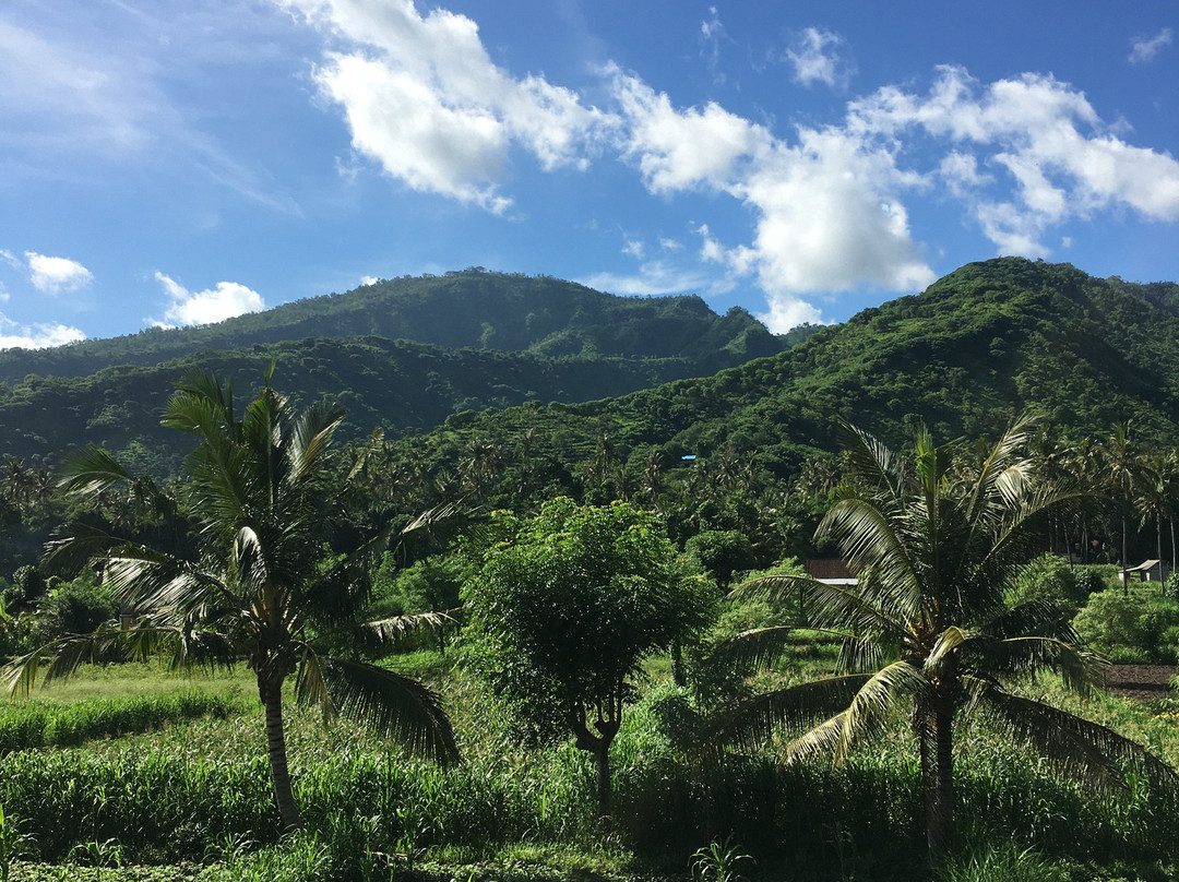 d'Sawah Amed Homestay & Warung主图