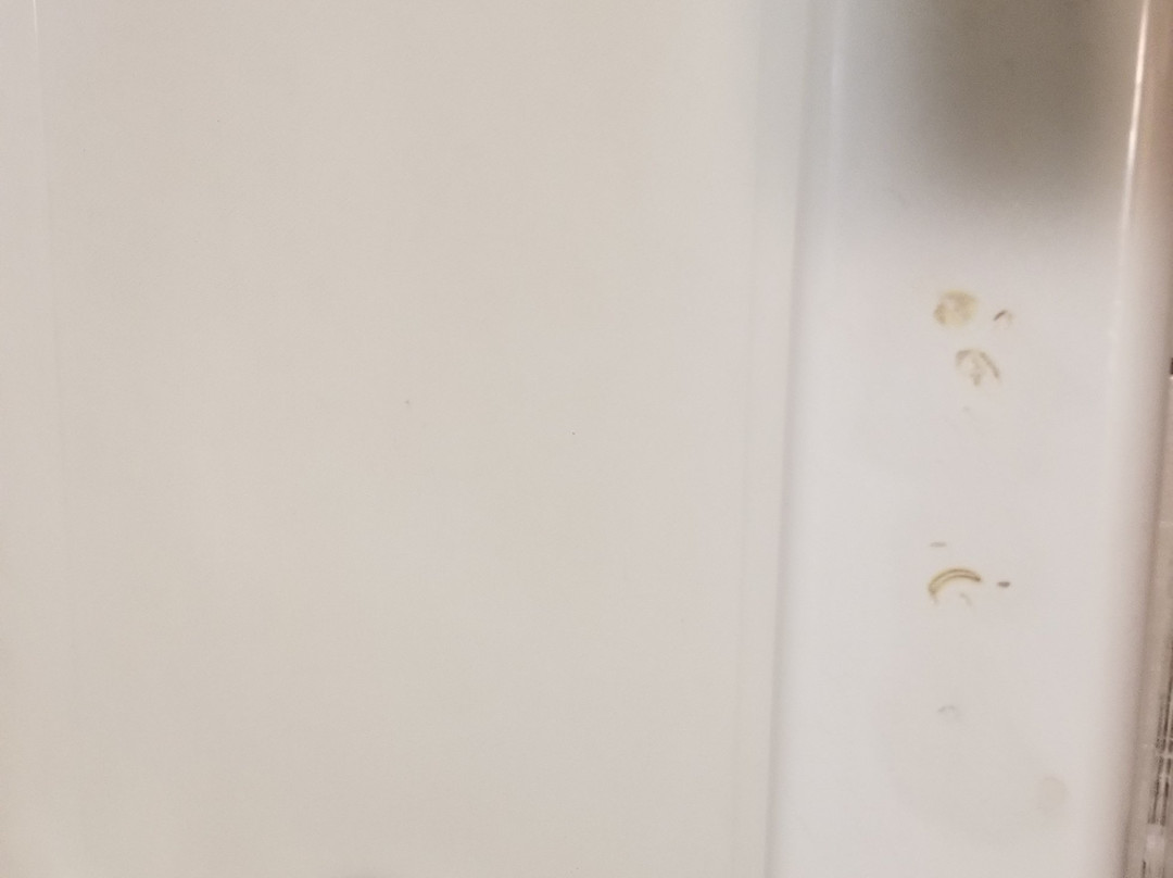 Sumner Motor Inn主图