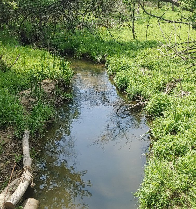 Huff Park-大急流市必去景点