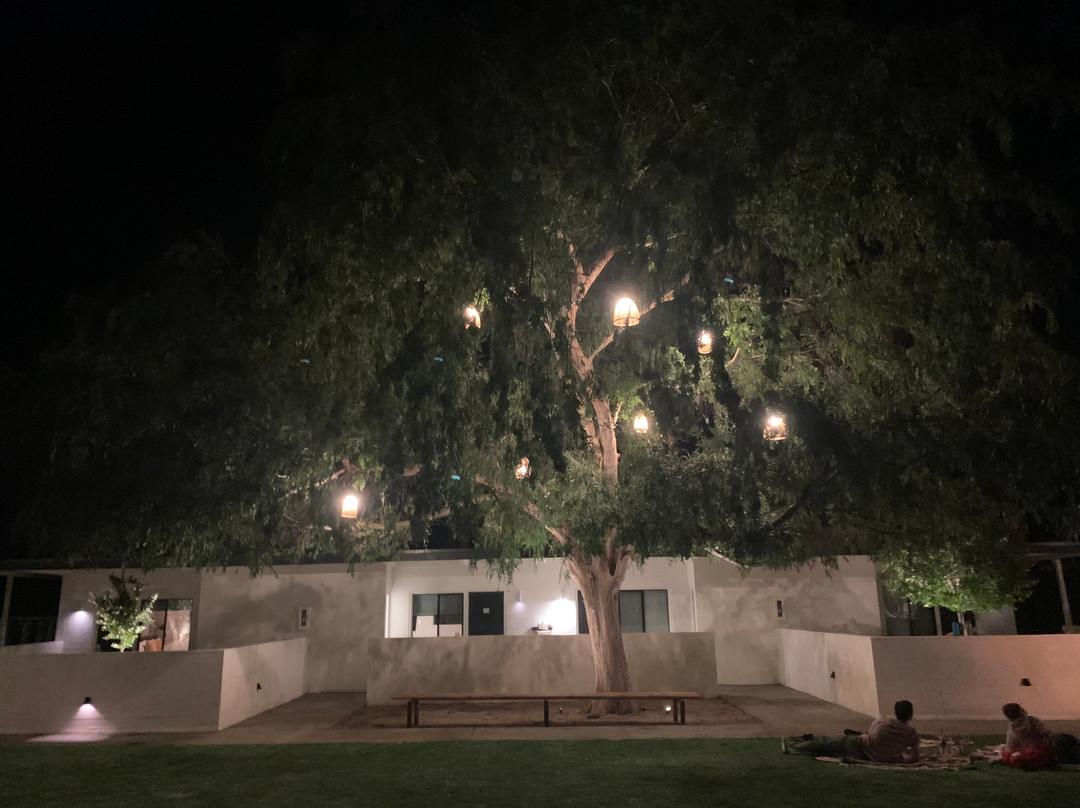 Cuyama Buckhorn主图