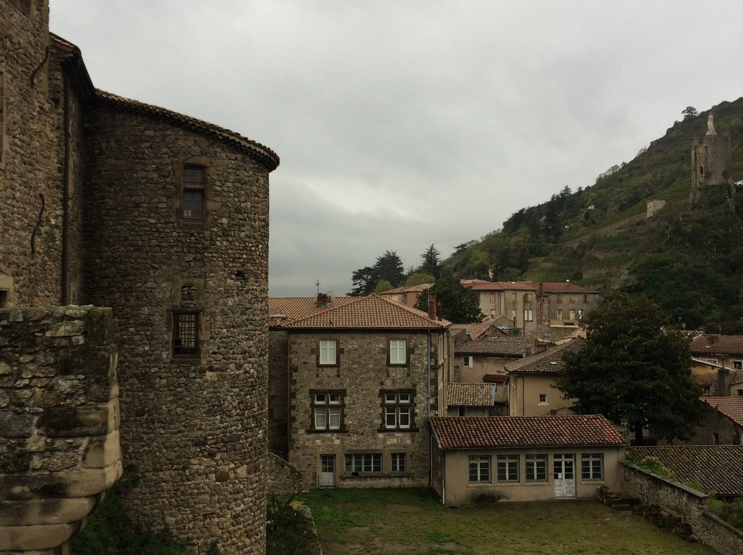 Château-musée De Tournon Sur Rhône景点图片