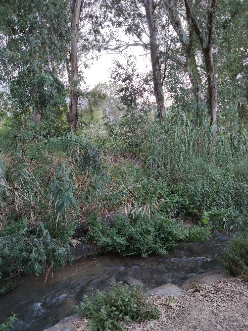 Manara Cliff-基利亚特什姆纳必去景点