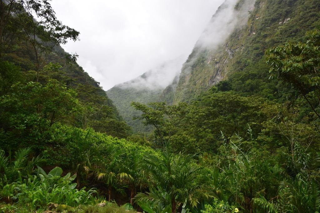 Inkaterra Machu Picchu Pueblo Hotel主图