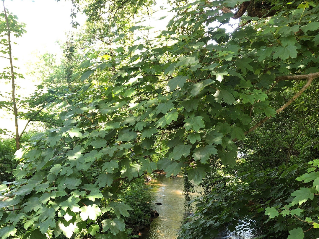 Grampound to Trewithen Circular Walk-Grampound必去景点