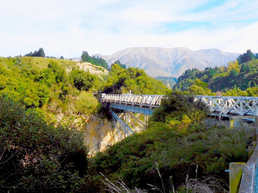 Rakaia Gorge Walkway景点图片