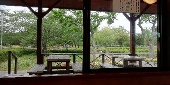 Sodegaura Park-袖浦市必去景点