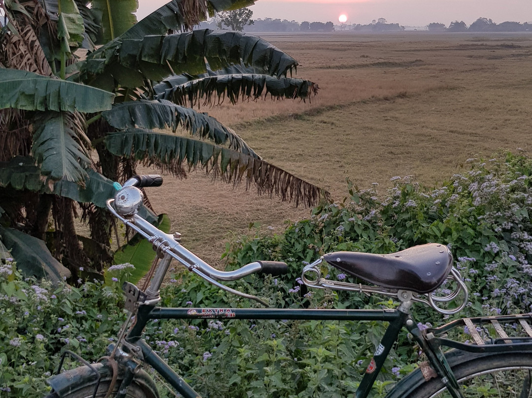 Ygdrasill Bamboo Cottage主图