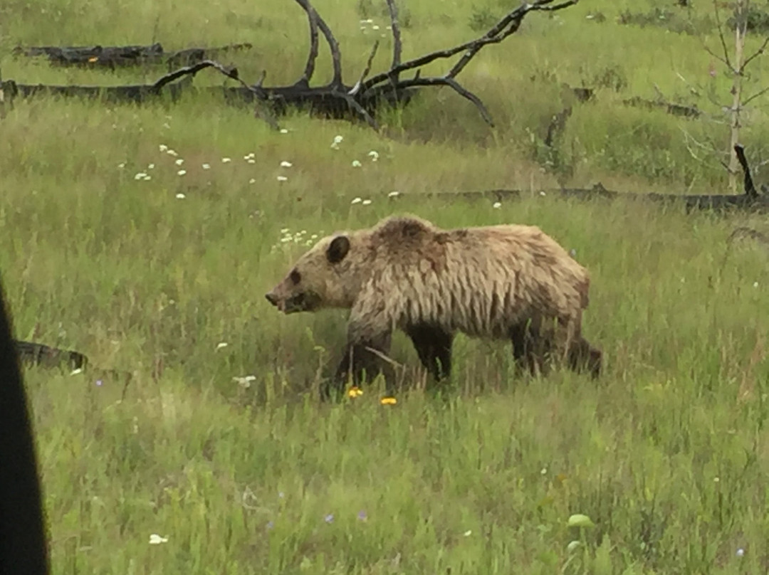 Hinton Visitor Information Centre-兴顿必去景点