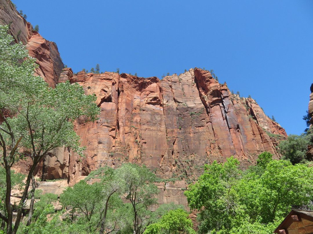 Temple of Sinawava Trail-锡安国家公园必去景点