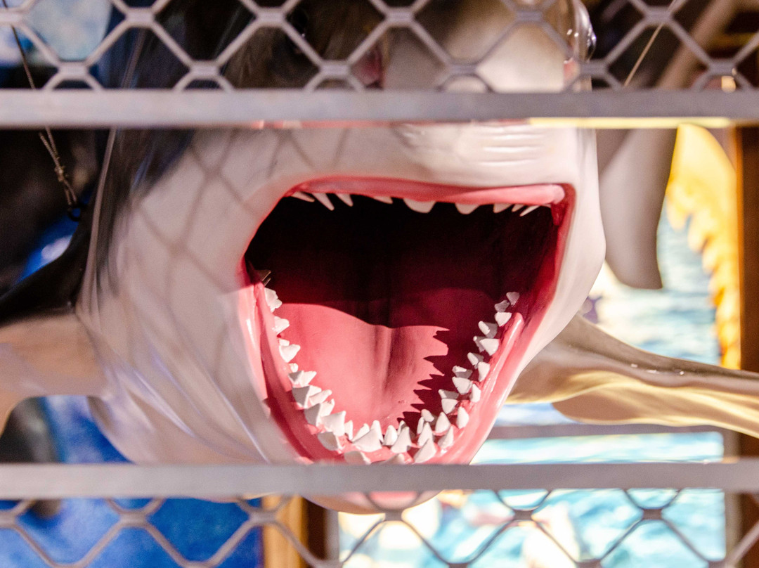 South Australia Whale Centre-维克多港必去景点