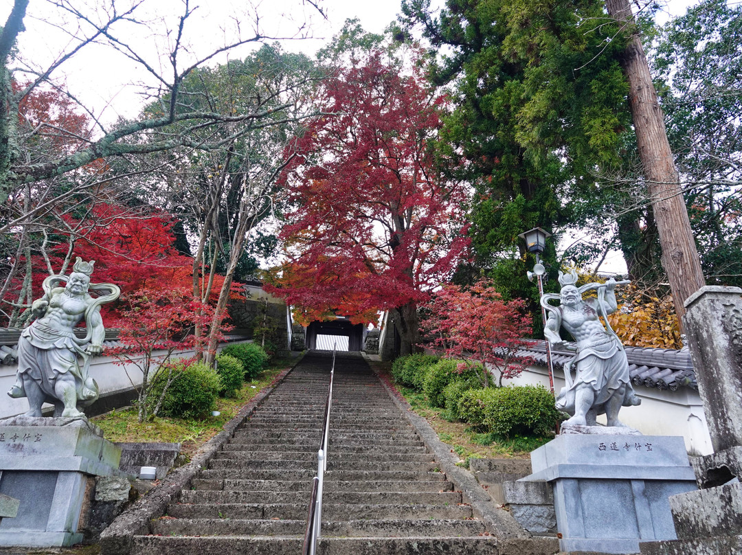 Sairenji Temple景点图片