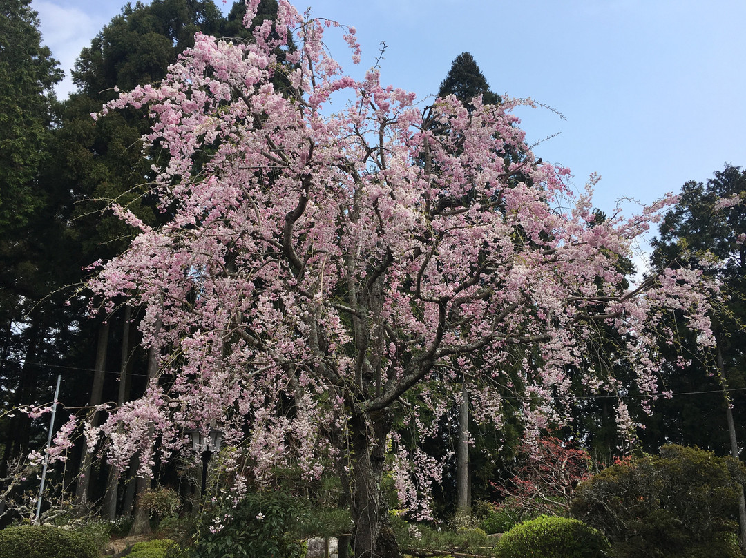 Shofukuji Temple-甲贺市必去景点