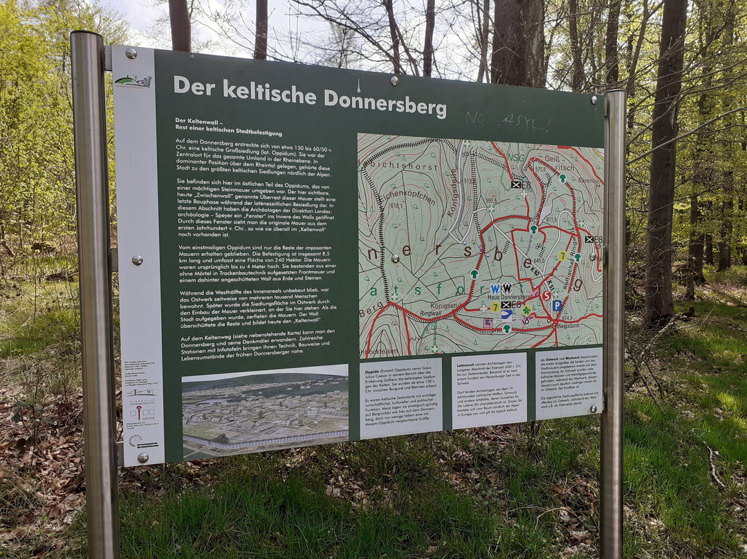 Keltischer Donnersberg景点图片