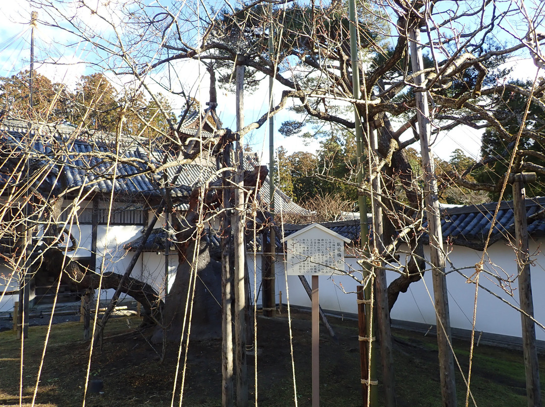 Zuigan-ji Naka Gate-松岛町必去景点