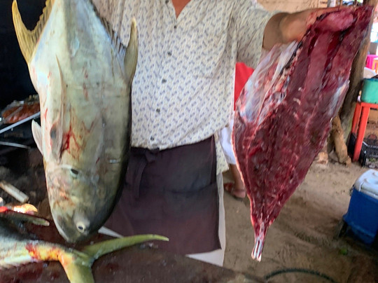 Playa Mismaloya-Mismaloya必去景点