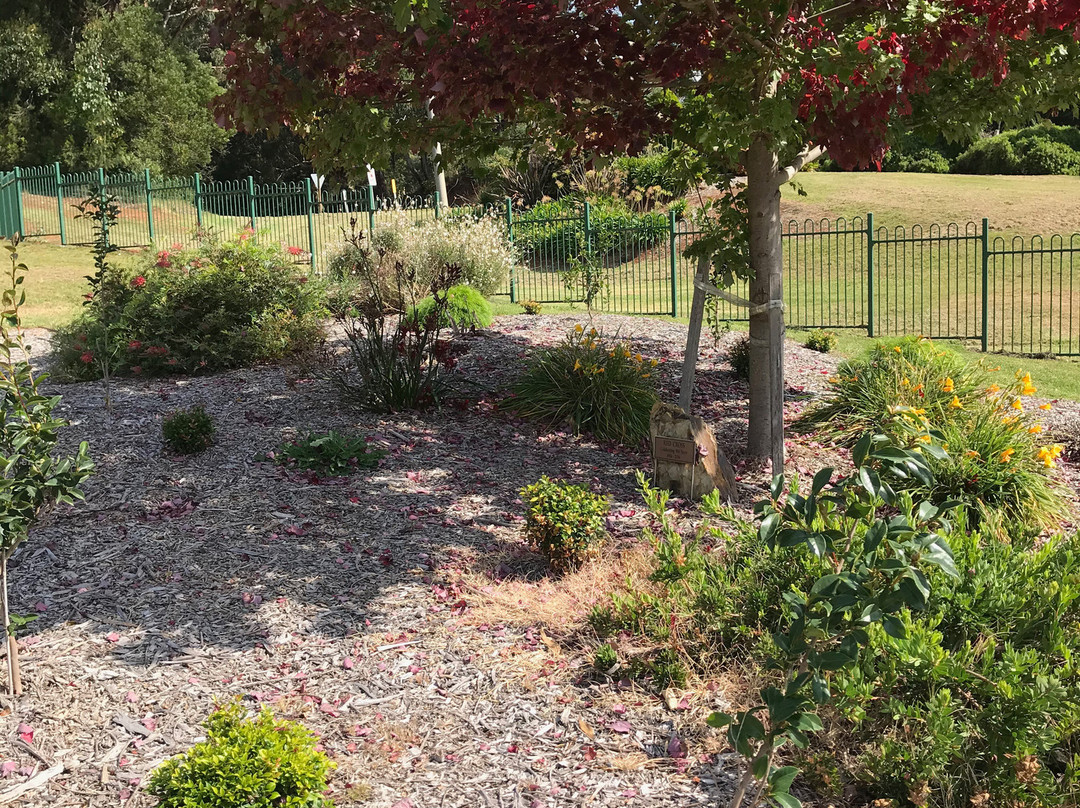 Erica Recreation Reserve Playground-Erica必去景点