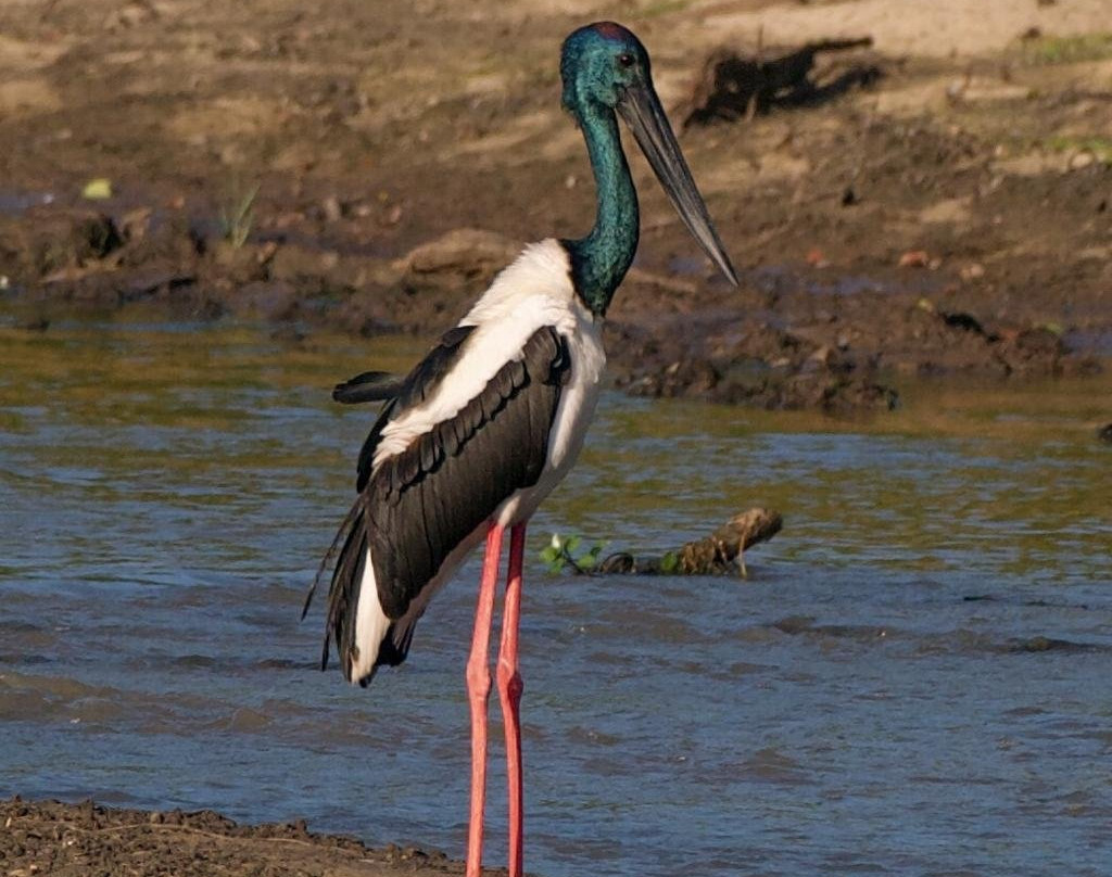 Daya Safari Jeep Service-蒂瑟默哈拉默必去景点