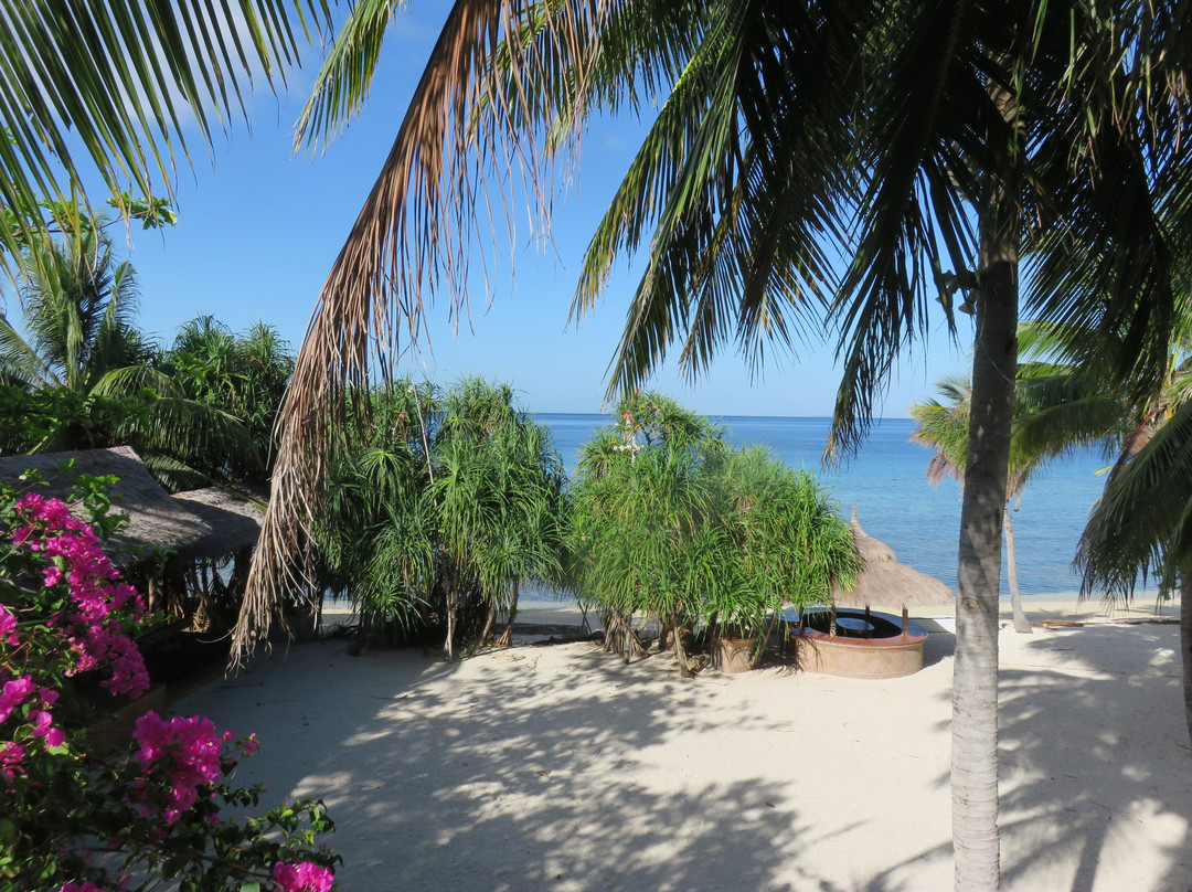 椰树林海滩度假村主图