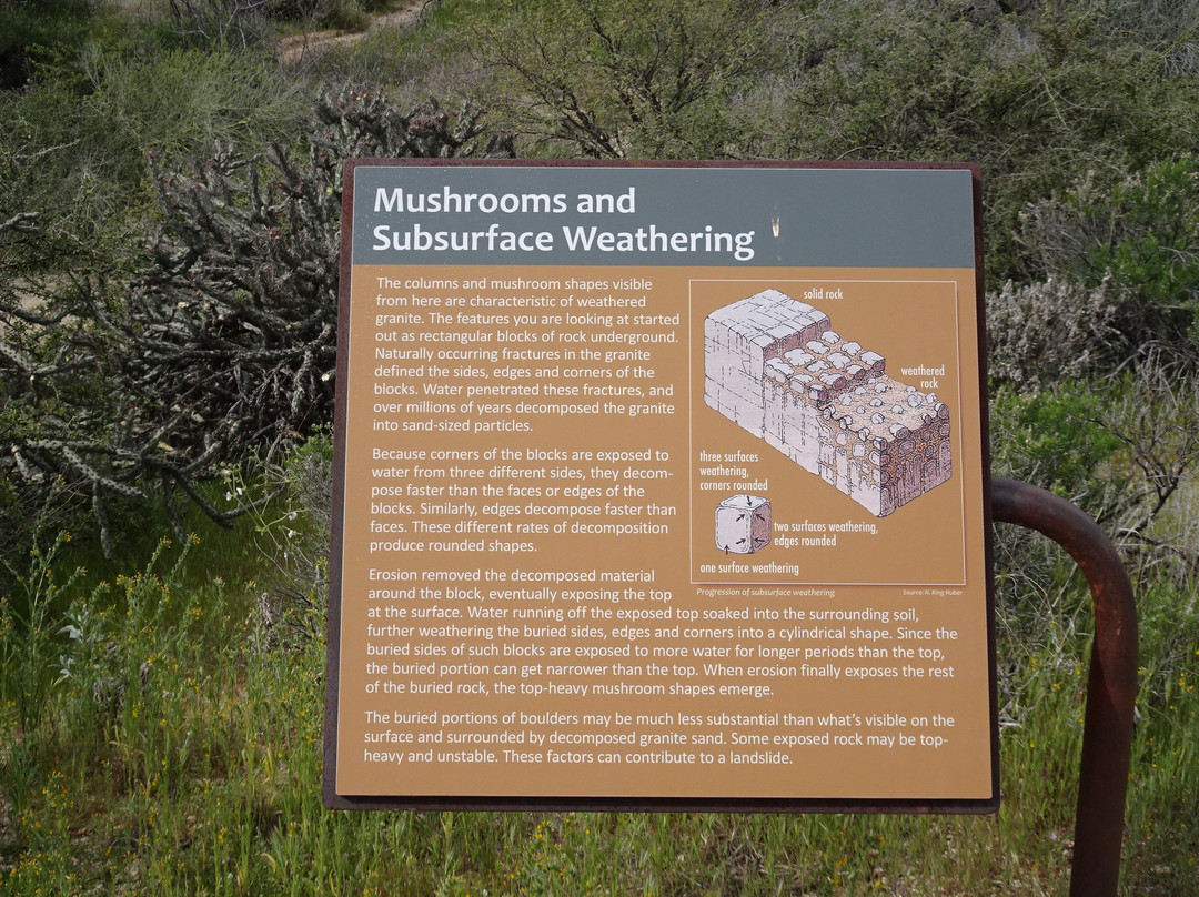 Marcus Landslide Trail-斯科茨代尔必去景点