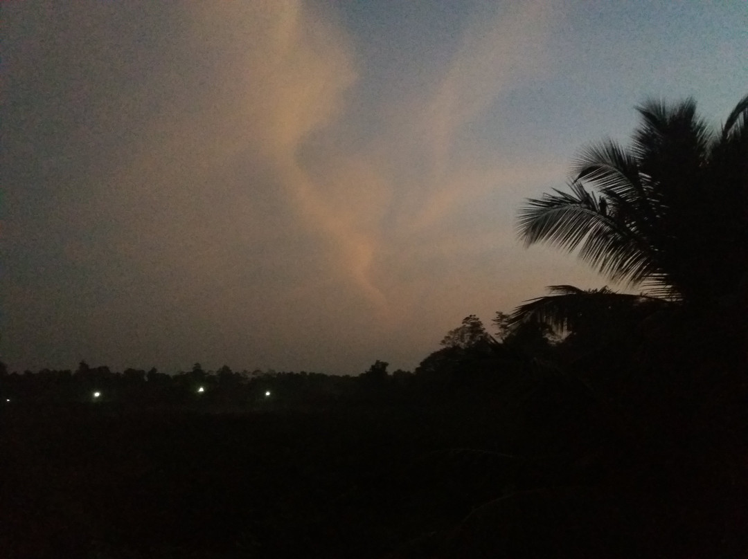 Dhammika Magic Palace主图