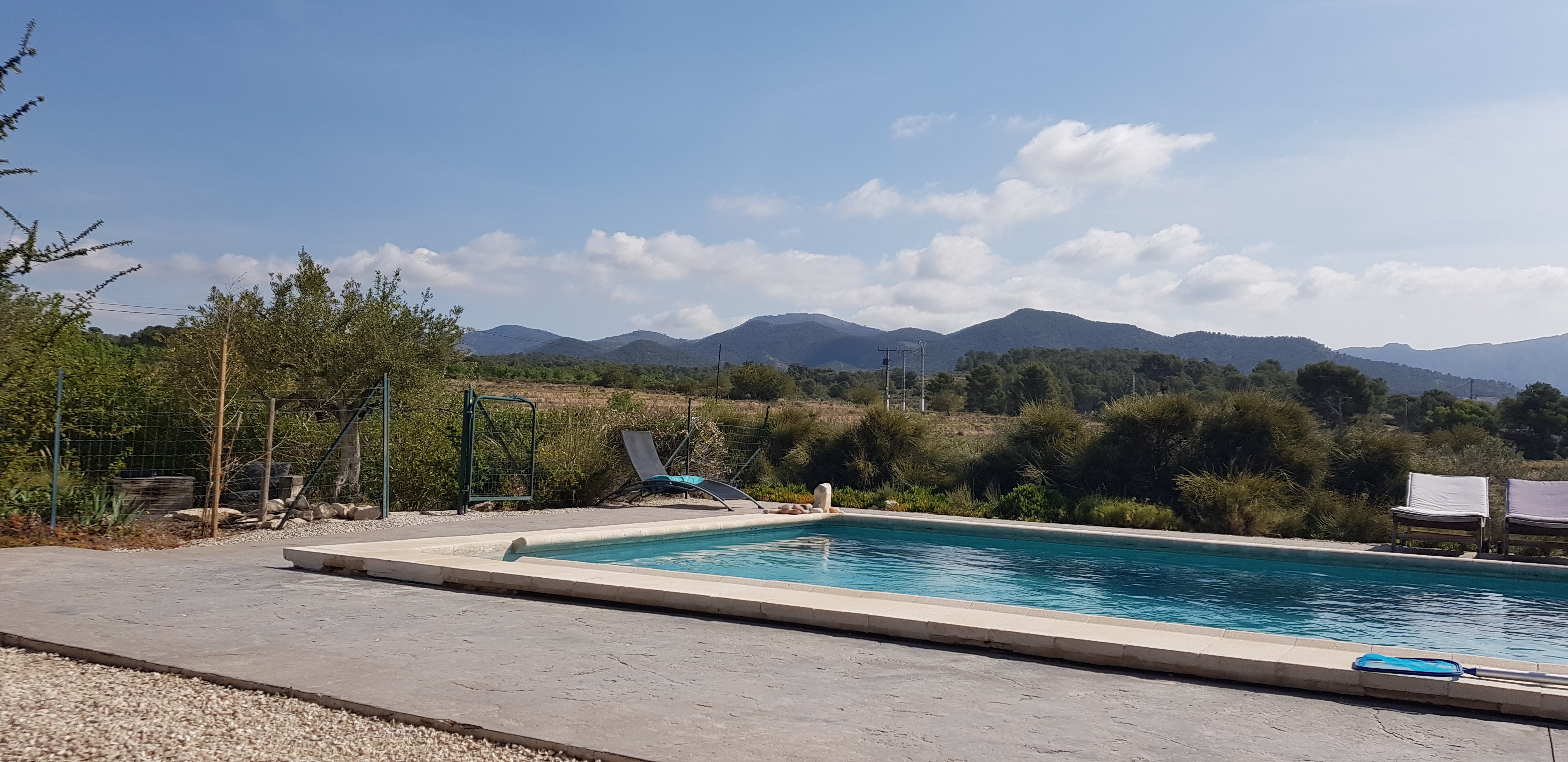 Finca El Pao-泳池