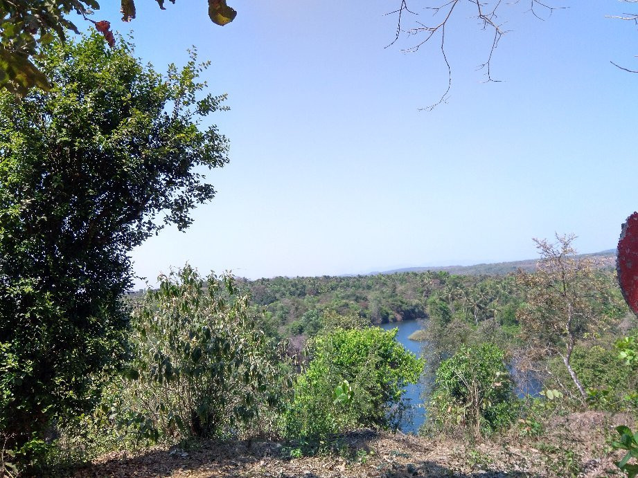 Treebo Trend Rock Valley主图