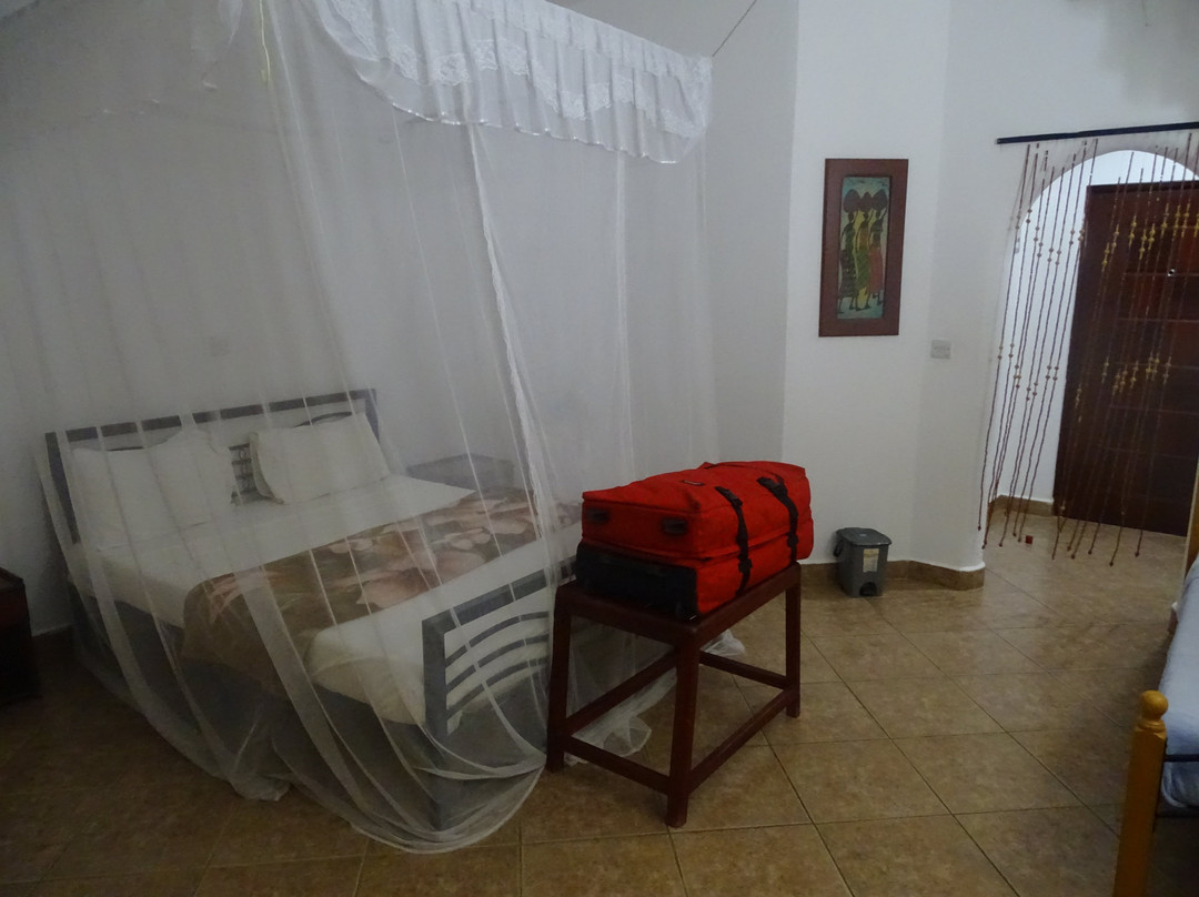 Tan Swiss Lodge主图