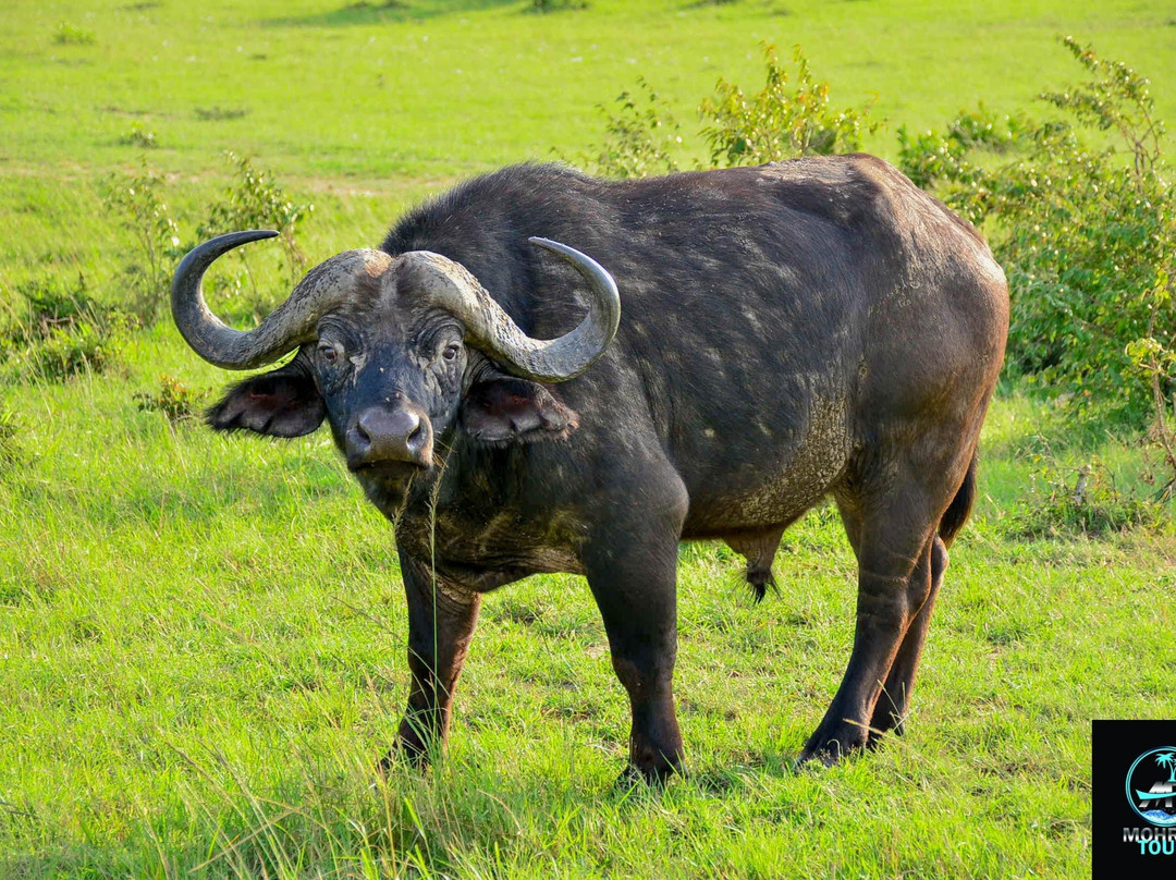 MOHRALE TOURS $ TRAVEL-Eldoret必去景点