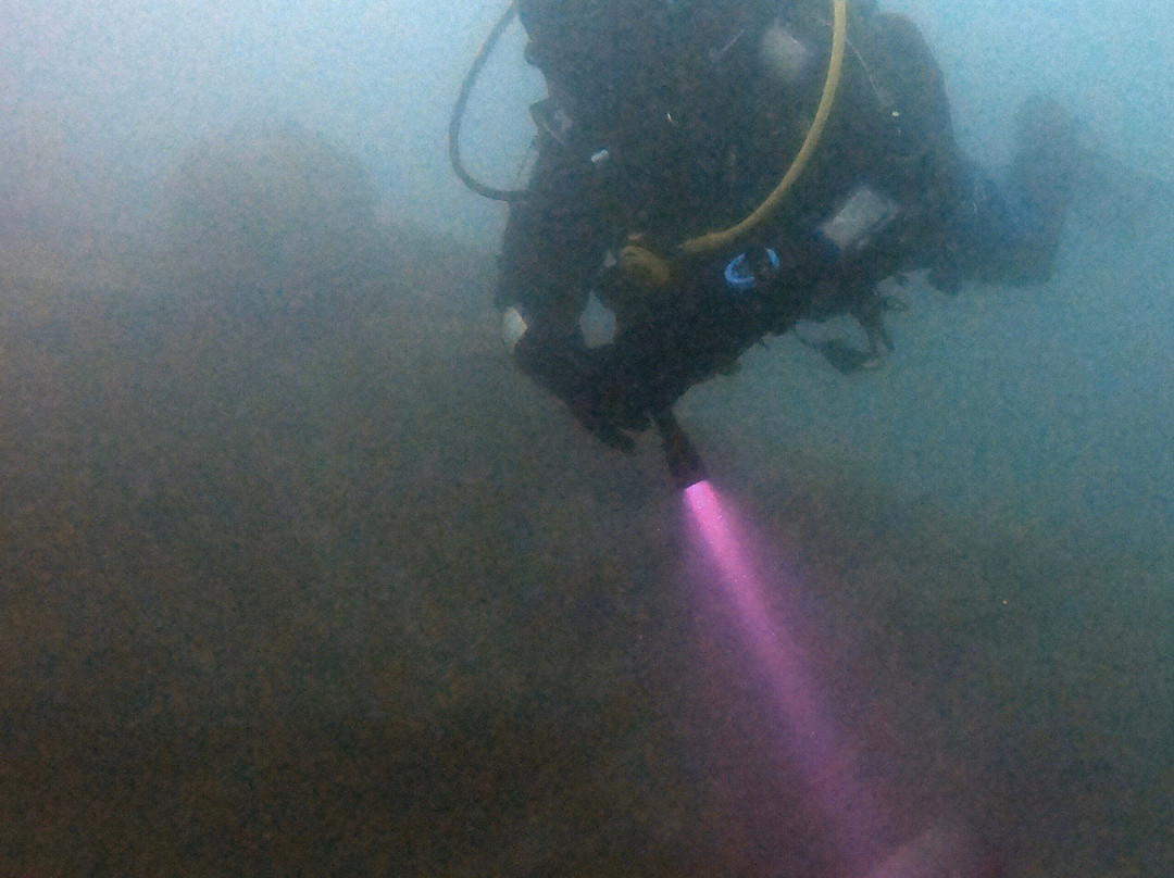 St Andrews Lakes Diving-Halling必去景点