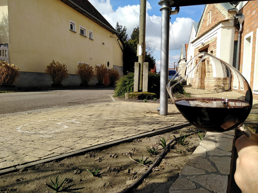 Pincelakat Borhaz es Szalloda主图