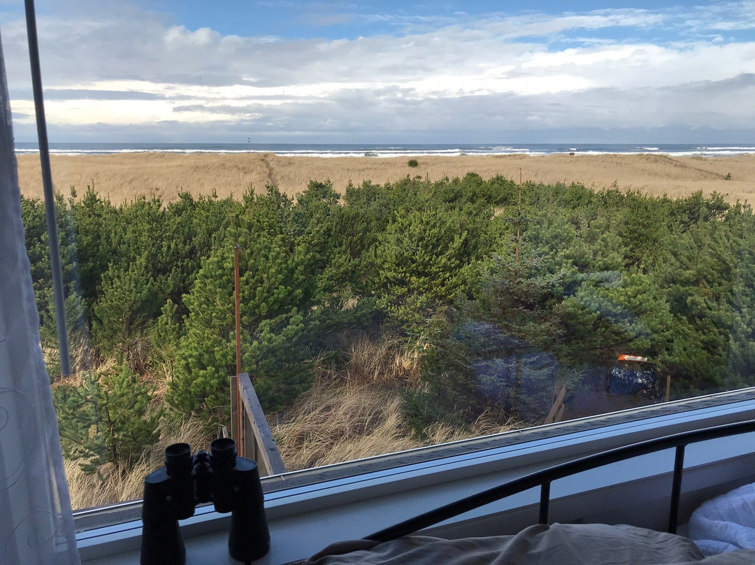 Campbell House at Klipsan Beach主图