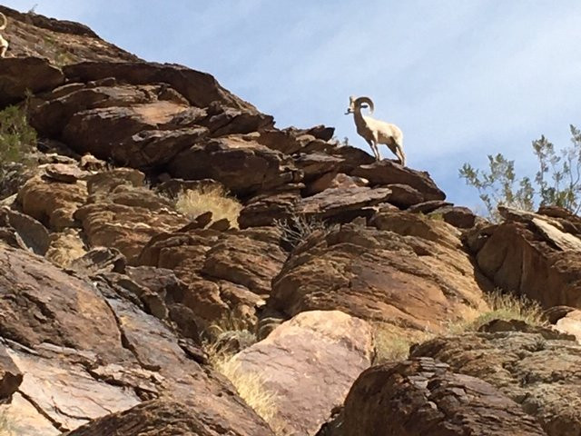 South Lykken Trail-棕榈泉市必去景点