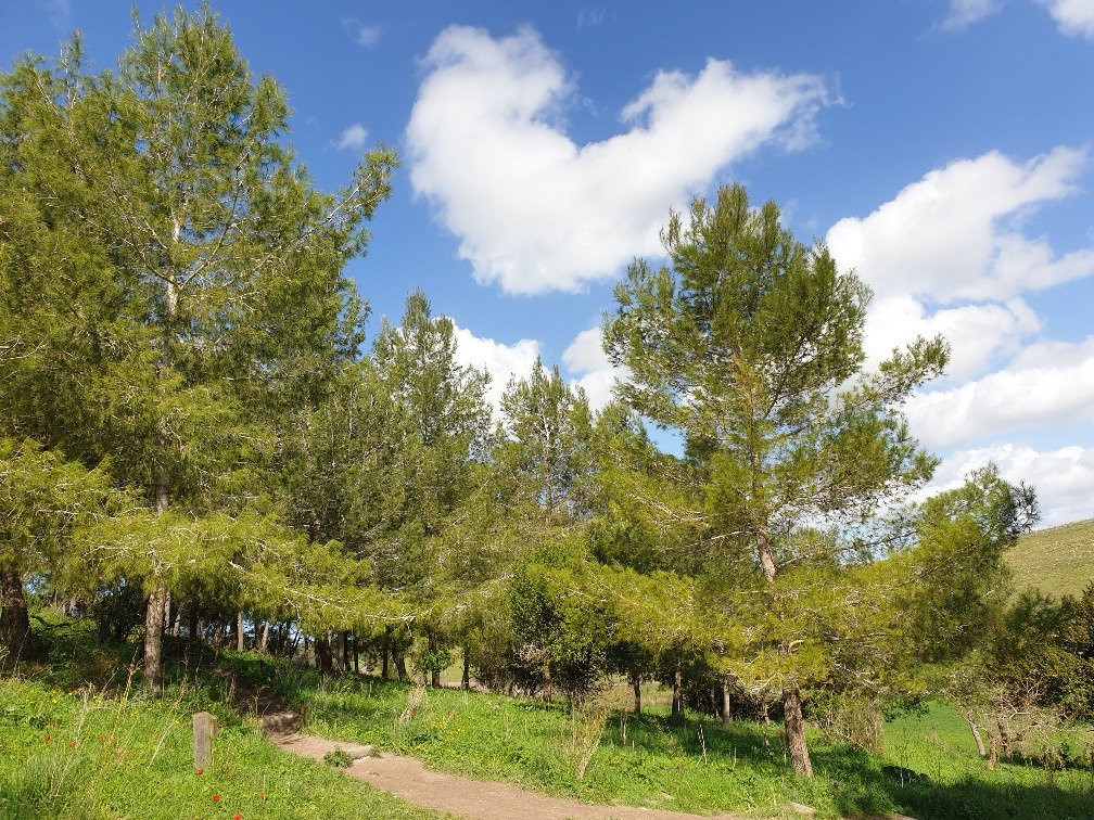 Giv'at HaRakafot-Ramot Menashe必去景点