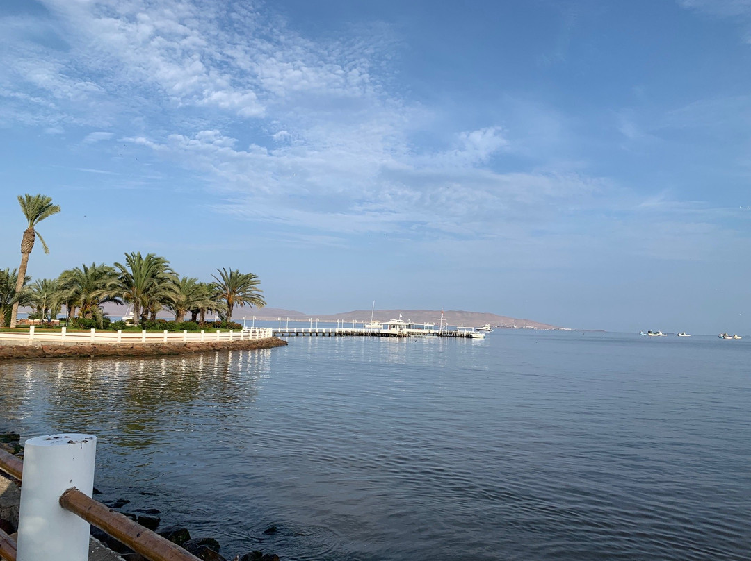 帕拉卡斯豪华精选度假酒店主图